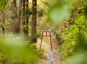 母の白滝神社